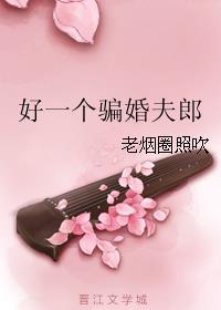 好一个骗婚夫郎剧透