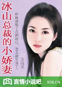 冰山总裁小娇妻奇漫屋