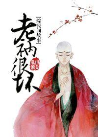 老衲意思是