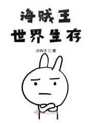 海贼王世界构造