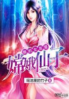 我的女友是仙子怎么样