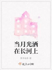 当月光洒在海面上
