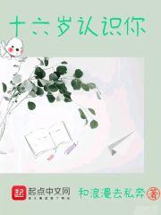 十六岁遇见你
