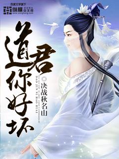 道君这本怎么样