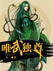 唯武独尊全文阅读(老狐)