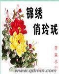 锦绣俏仵作第二部番外