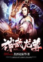 神武龙婿
