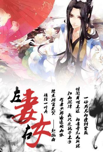 左妻右妾现在在写什么