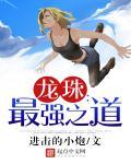 龙珠最强之道日语