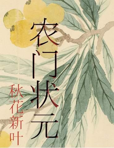 农门状元为什么删减