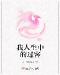 我人生中的过客文案