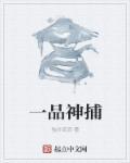 一品神捕短剧免费观看完整版高清