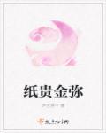 纸贵金迷好看吗