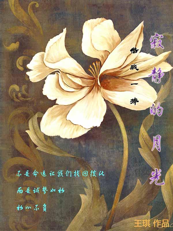 我是一盏灯