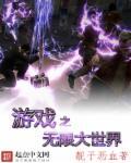 无限游戏大玩家 起点