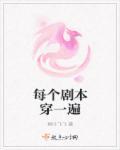 每个剧本穿一遍是什么
