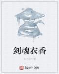 dnf剑魂上衣