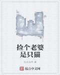 捡到个媳妇
