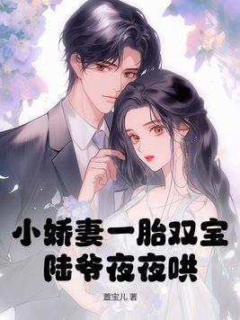 陆爷的小娇夫又甜又撩