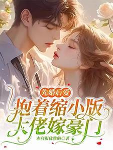 先婚厚爱抱紧总裁大人宝爷