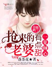 一见倾心总裁宠妻无上限免费阅读