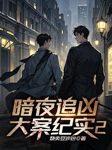 刑侦暗夜追光