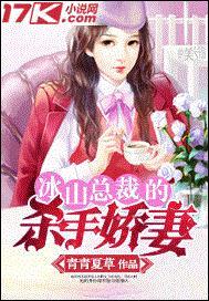 冰山总裁的
