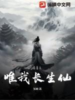 唯我独仙2