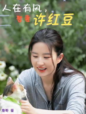 去有风的地方许红豆最后的结局