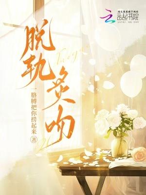 脱轨全文免费
