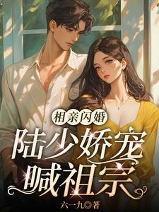 闪婚甜又暖