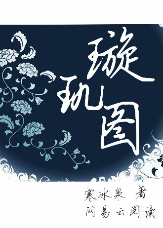 璇玑图密码 免费全文阅读