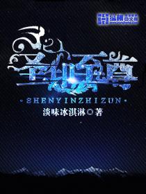 圣印至尊评价