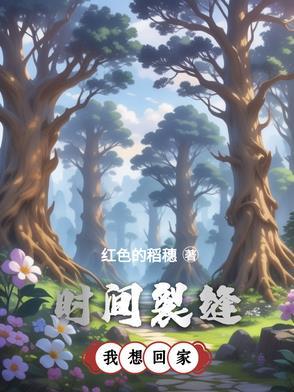 时间裂缝的意思