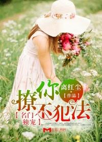 名门独宠撩你不犯法免费阅读