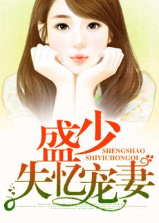 盛少的宠妻日常