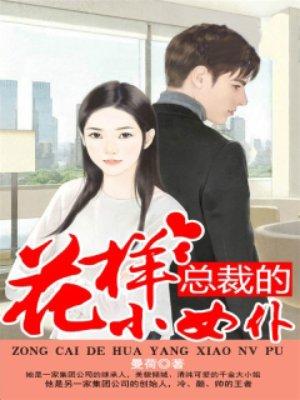 总裁的女孩