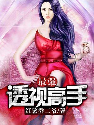 最强透视高手续集