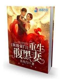 顶级豪门重生腹黑妻