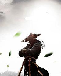 武道神尊无弹窗