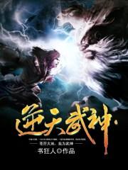 逆天武神苏林几个女主