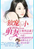 腹黑总裁独宠小妻子