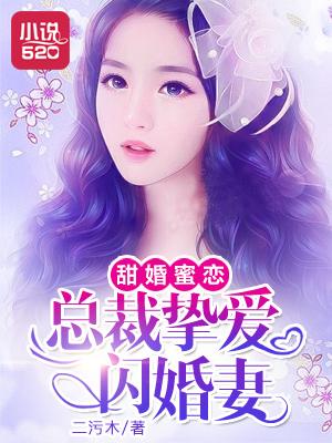 甜婚蜜恋总裁挚爱闪婚妻全文阅读