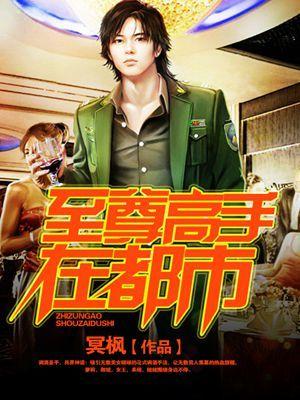 至尊超级高手
