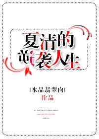 夏清全文阅读全文