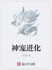 神宠进化动漫