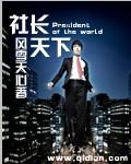 社长天下TXT电子书全本免费