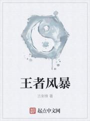 王者风暴传奇官网入口