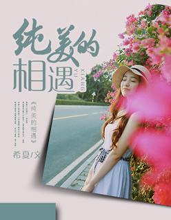 电影纯美的相遇