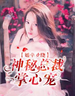 婚宠蜜意总裁追爱记
